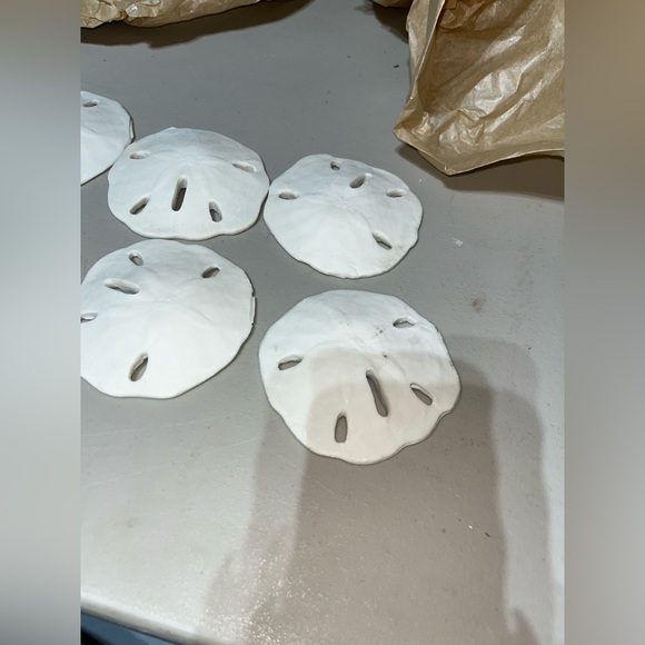 SAND-DOLLAR COLLECTION (NOT REAL) - Picture 4 of 8
